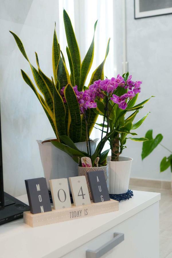 M&M House Apartment โรม ภายนอก รูปภาพ